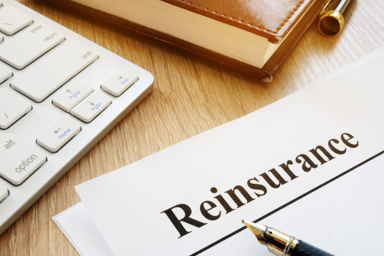 Reinsurance Placement